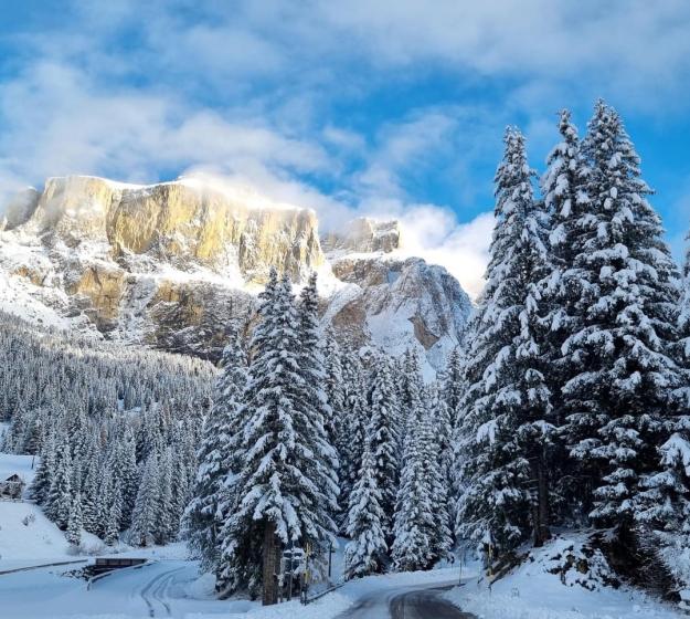 Montagne innevate e pini sotto un cielo azzurro.