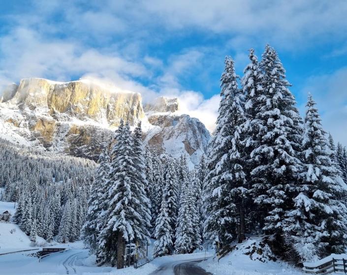 Montagne innevate e pini sotto un cielo azzurro.